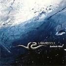 Liquid Soul - Synthetic Vibes